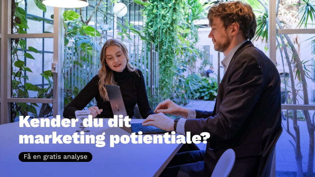 Kender du dit marketing potentiale?